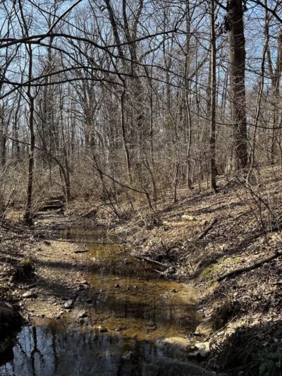 Franklin Woodlands Trail - Reisterstown, MD