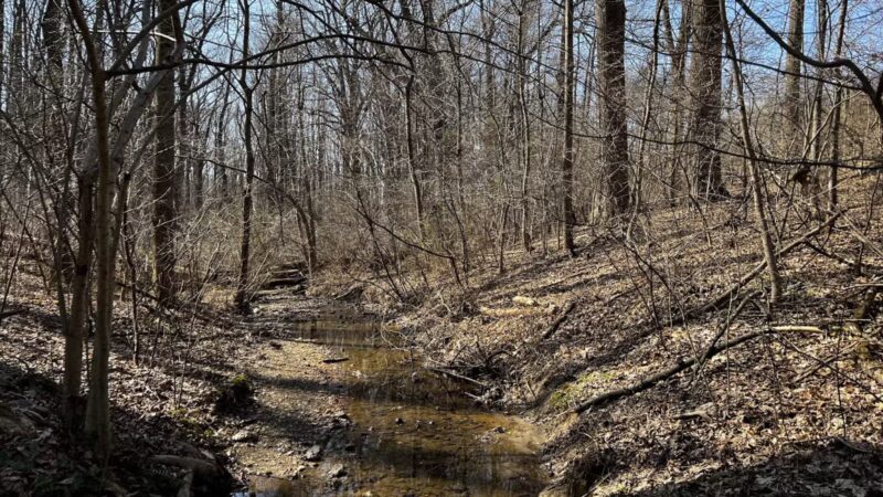 Franklin Woodlands Trail - Reisterstown, MD