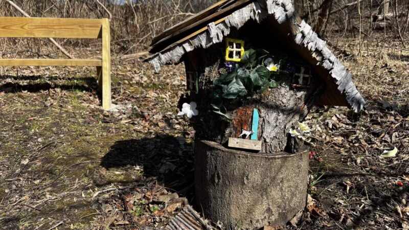 Franklin Woodlands Trail - Reisterstown, MD