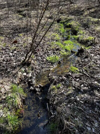 Franklin Woodlands Trail - Reisterstown, MD