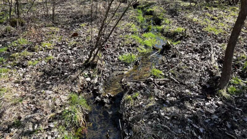 Franklin Woodlands Trail - Reisterstown, MD