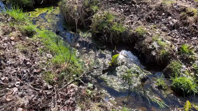 Franklin Woodlands Trail - Reisterstown, MD