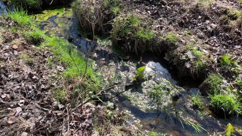 Franklin Woodlands Trail - Reisterstown, MD