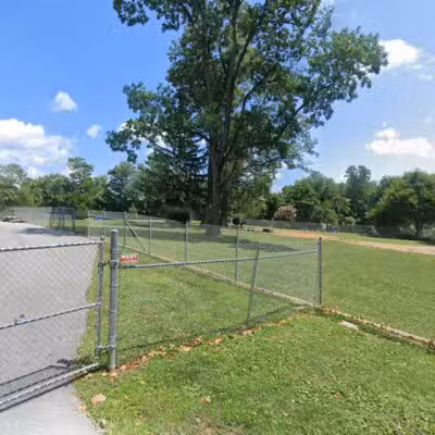 Large Dog Area - Reisterstown, MD