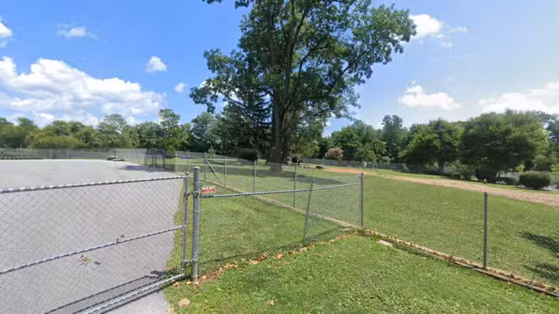Large Dog Area - Reisterstown, MD