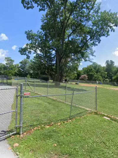 Large Dog Area - Reisterstown, MD