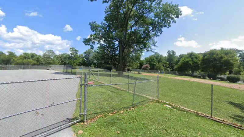 Large Dog Area - Reisterstown, MD