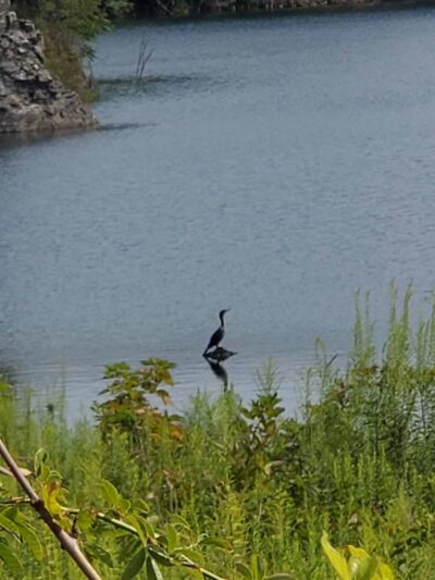 Quarry Place - Reisterstown, MD