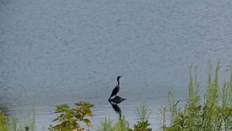 Quarry Place - Reisterstown, MD