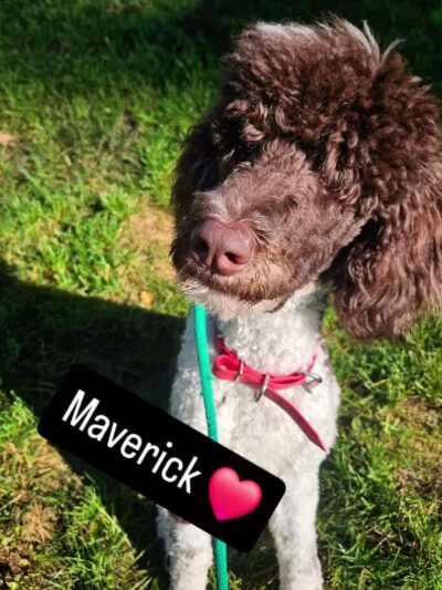 Wilde Acres - Reisterstown, MD