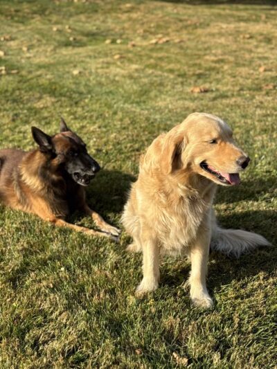 Wilde Acres - Reisterstown, MD