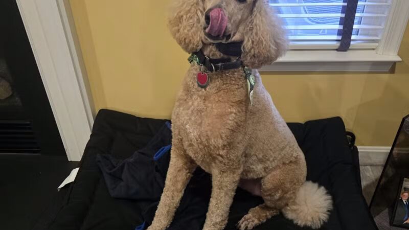 Wilde Acres - Reisterstown, MD