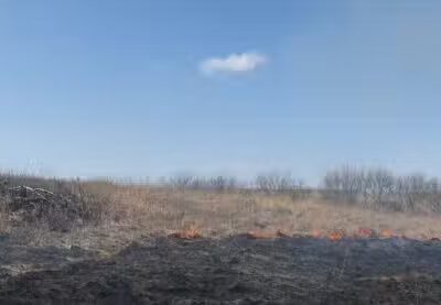 Stilwell Prairie - Richards, MO