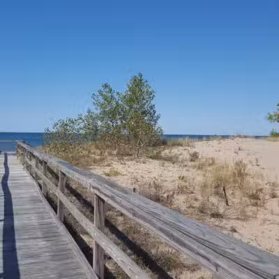 Deer Creek Marsh Wildlife Management Area - Richland, NY