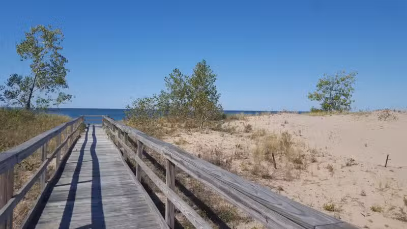 Deer Creek Marsh Wildlife Management Area - Richland, NY