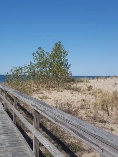 Deer Creek Marsh Wildlife Management Area - Richland, NY