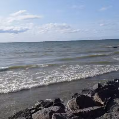 Deer Creek Marsh Wildlife Management Area - Richland, NY