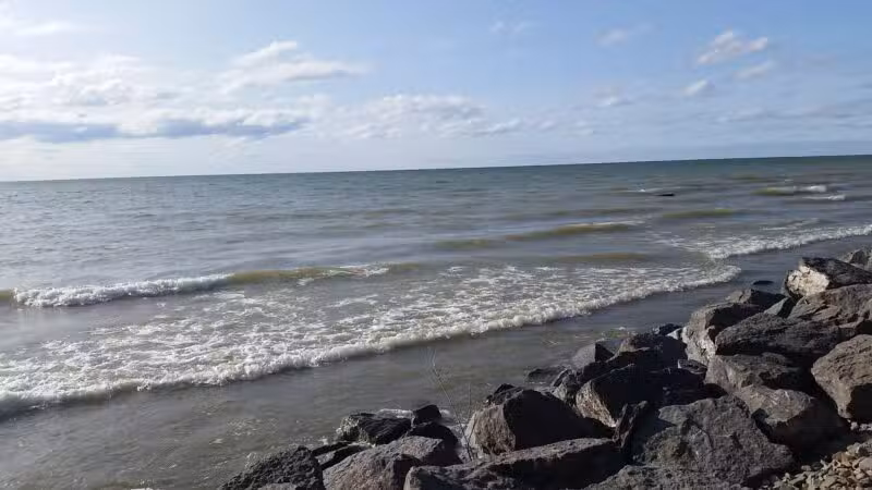 Deer Creek Marsh Wildlife Management Area - Richland, NY