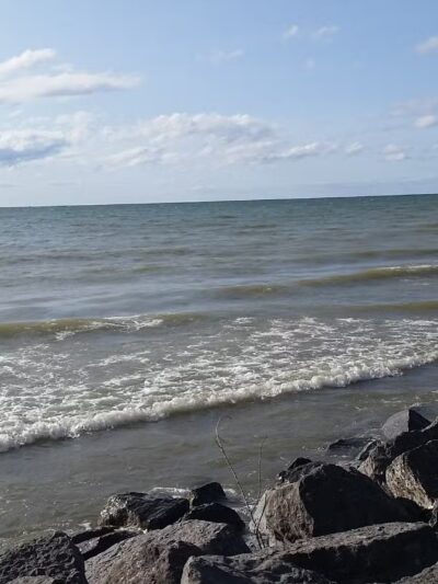 Deer Creek Marsh Wildlife Management Area - Richland, NY