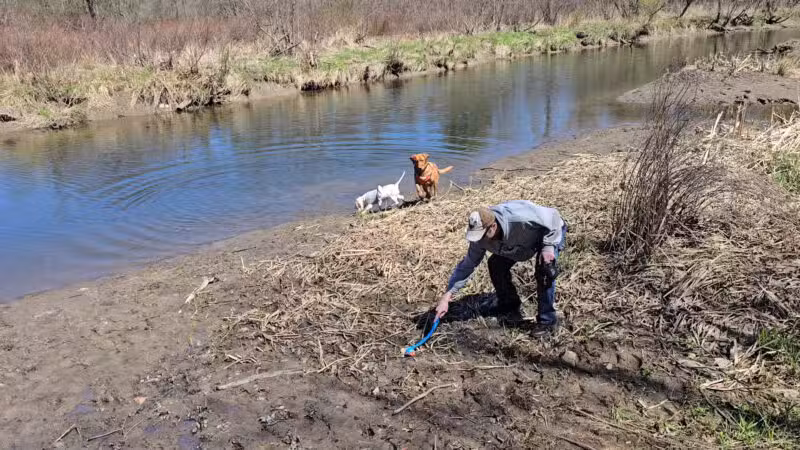 Deer Creek Marsh Wildlife Management Area - Richland, NY