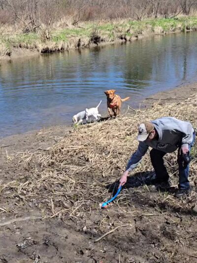 Deer Creek Marsh Wildlife Management Area - Richland, NY