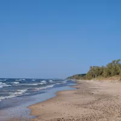 Deer Creek Marsh Wildlife Management Area - Richland, NY