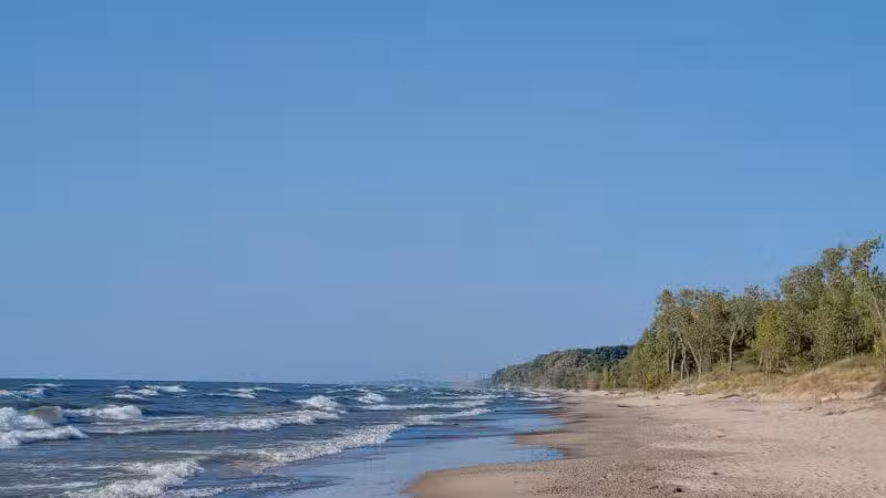 Deer Creek Marsh Wildlife Management Area - Richland, NY