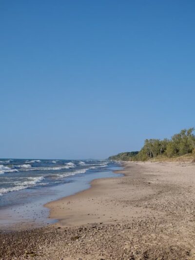 Deer Creek Marsh Wildlife Management Area - Richland, NY