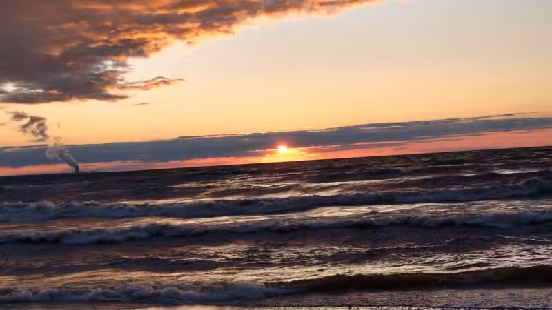 Deer Creek Marsh Wildlife Management Area - Richland, NY