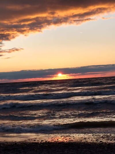 Deer Creek Marsh Wildlife Management Area - Richland, NY