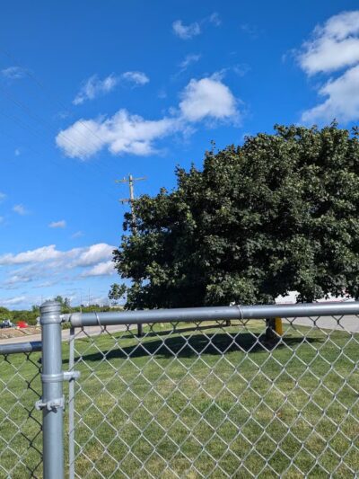 Dog Park - Richmond, IN