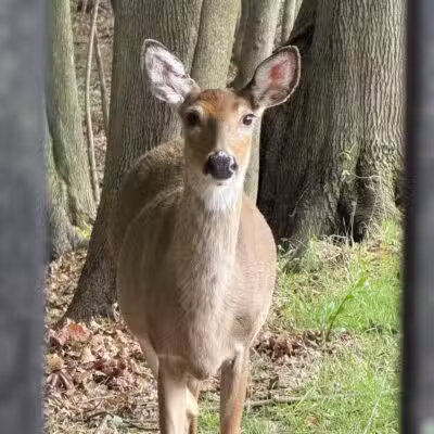 Ridgefield Nature Center - Ridgefield, NJ