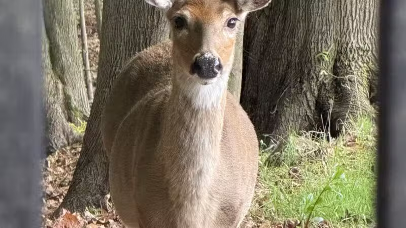 Ridgefield Nature Center - Ridgefield, NJ