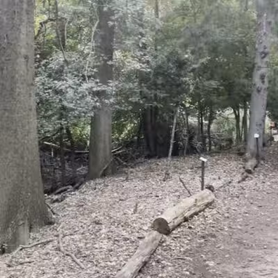 Ridgefield Nature Center - Ridgefield, NJ