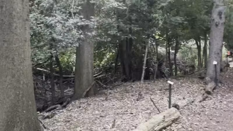 Ridgefield Nature Center - Ridgefield, NJ