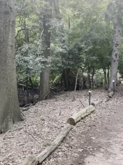 Ridgefield Nature Center - Ridgefield, NJ