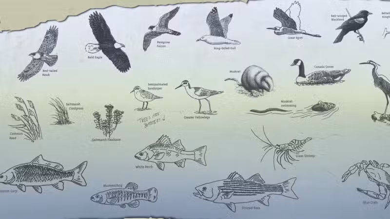 McGowan Park - Ridgefield Park, NJ