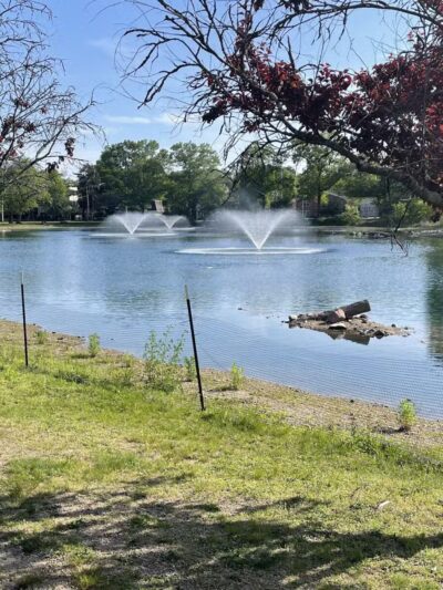 Wild Duck Pond Playground - Ridgewood, NJ
