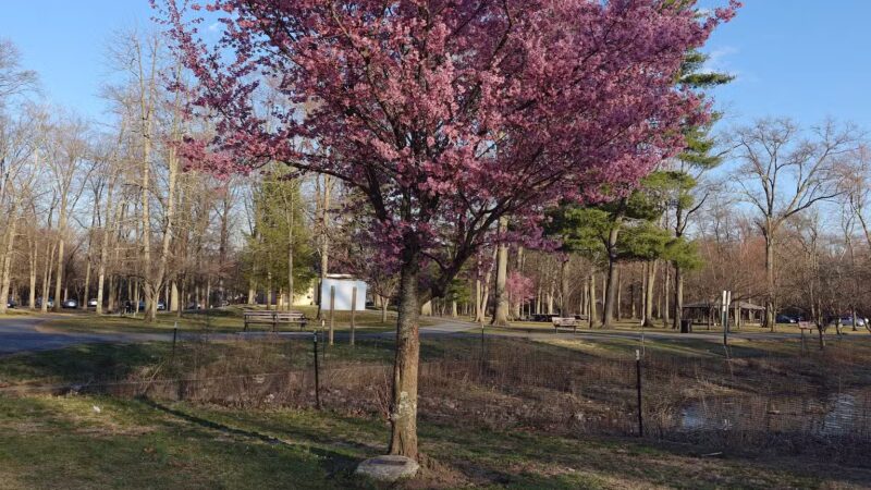 Wild Duck Pond Playground - Ridgewood, NJ