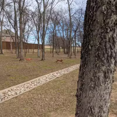 Freedom Dog Park - Roanoke, TX