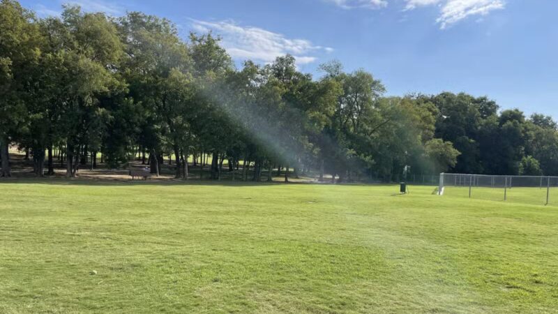 Freedom Dog Park - Roanoke, TX