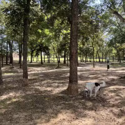 Freedom Dog Park - Roanoke, TX