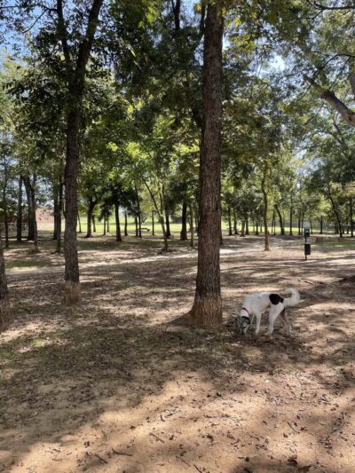 Freedom Dog Park - Roanoke, TX