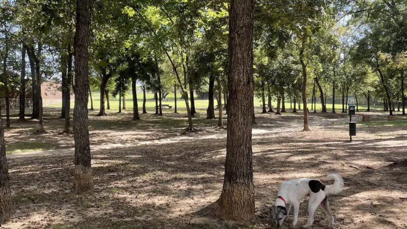 Freedom Dog Park - Roanoke, TX