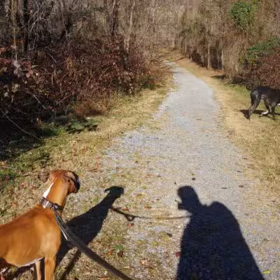 Blue Ridge Park - Roanoke, VA