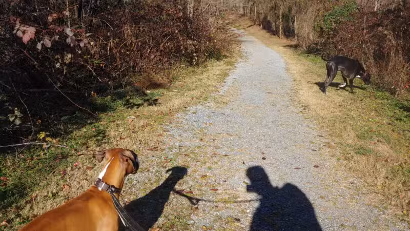 Blue Ridge Park - Roanoke, VA