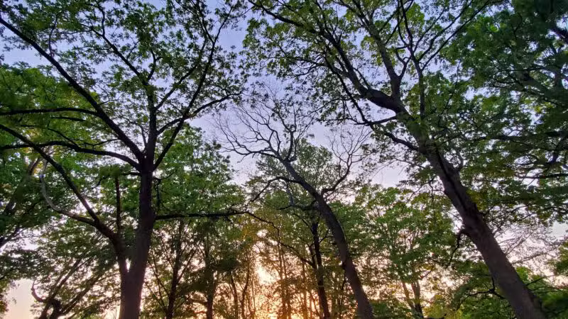 Highland Park - Roanoke, VA