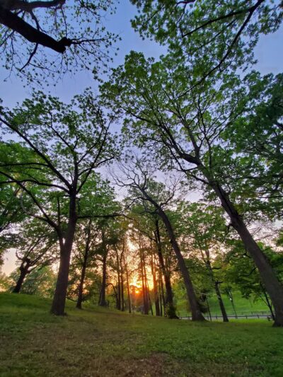 Highland Park - Roanoke, VA