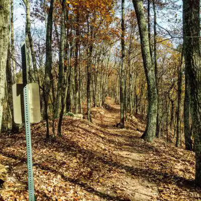 Read Mountain Preserve - Roanoke, VA