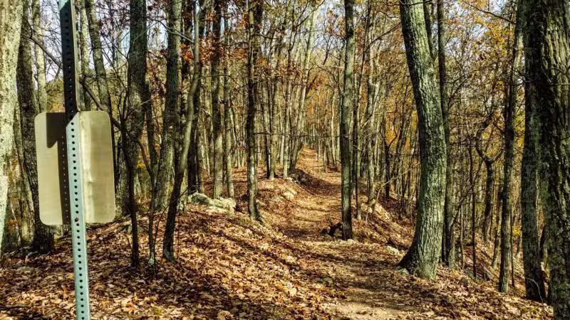 Read Mountain Preserve - Roanoke, VA